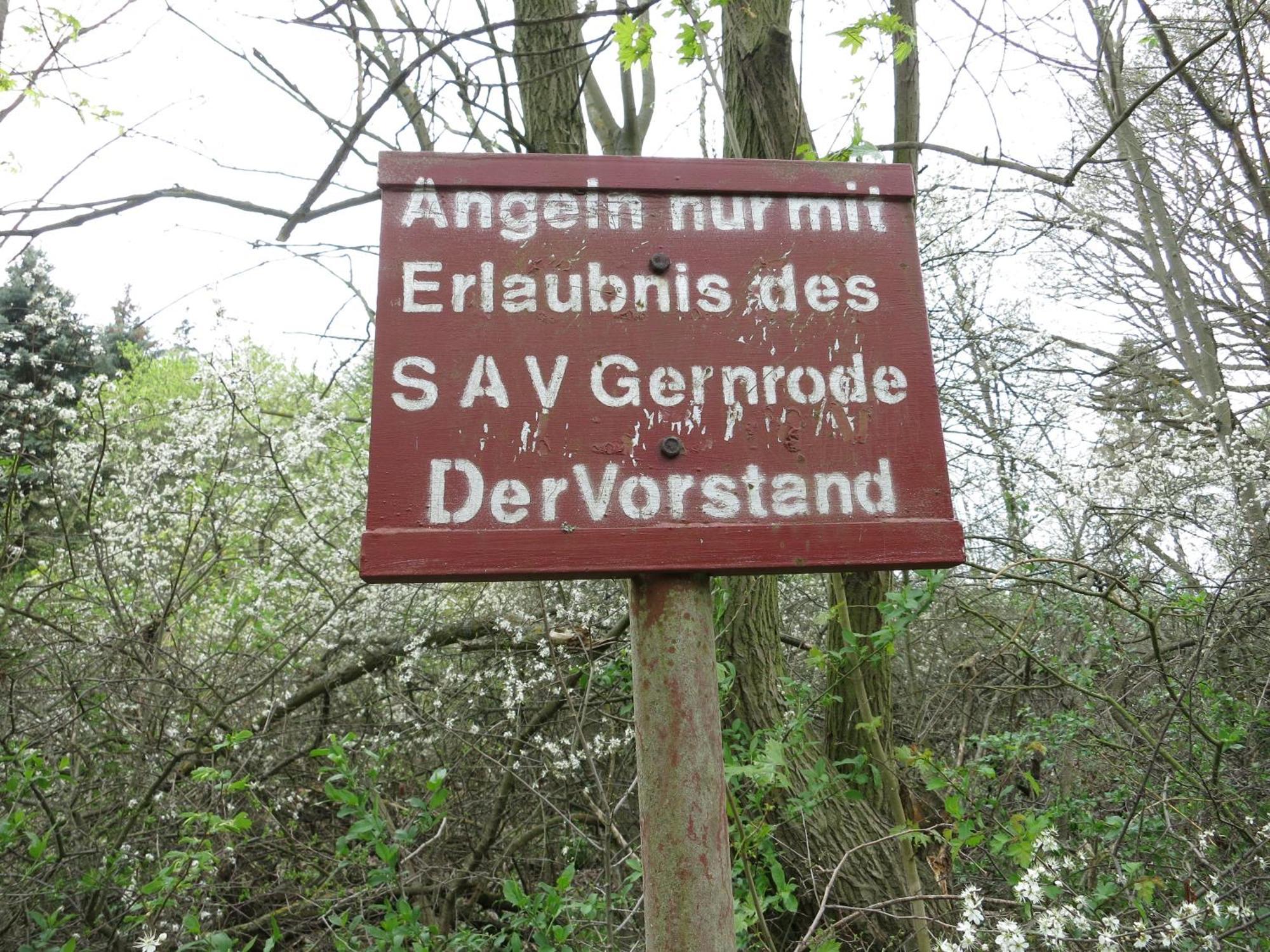 Bungalow Am Osterteich Gernrode  エクステリア 写真